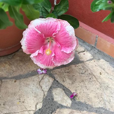 Hotel Buena Vista Copán Kültér fotó