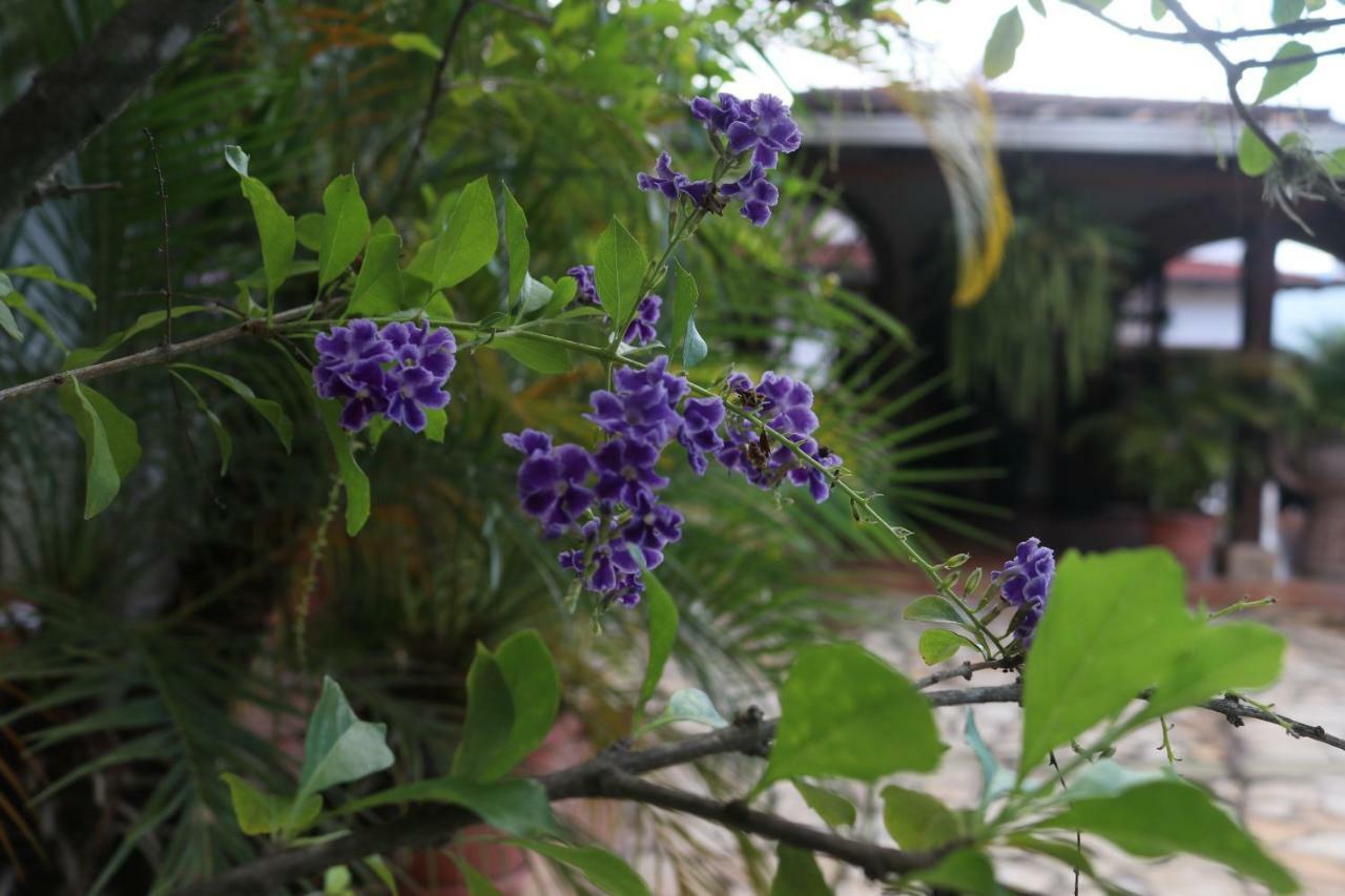 Hotel Buena Vista Copán Kültér fotó